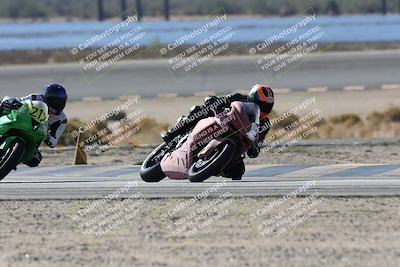 media/Nov-16-2025-Race Pace (Sun) [[8c5fa54630]]/Verified Riders/3-Turn 14 (1045am)/